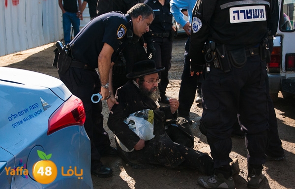 haradeem france hos 629 (20).jpg